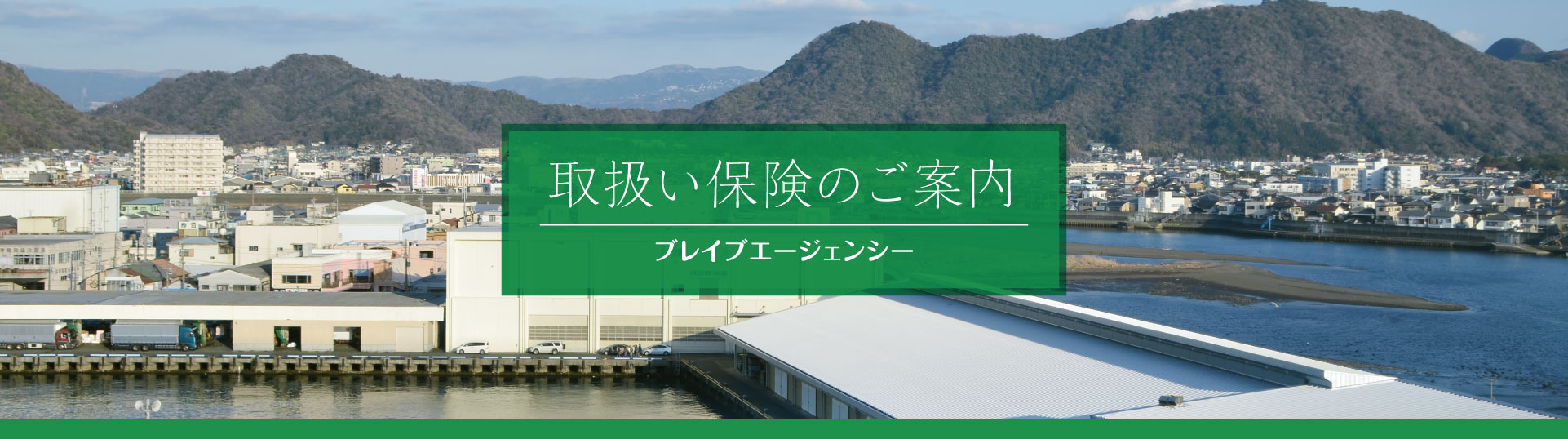 事業案内　取扱い保険
